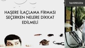 Haşere ilaçlama firmaları